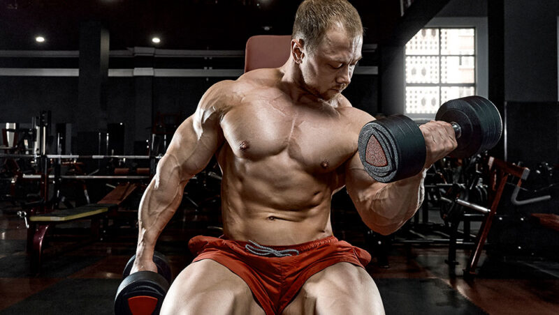 cml_img-blog_main_2024-12-13_1-800x452
